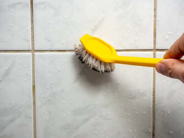 Best Commercial Mold Remediation in Union Hall, VA
