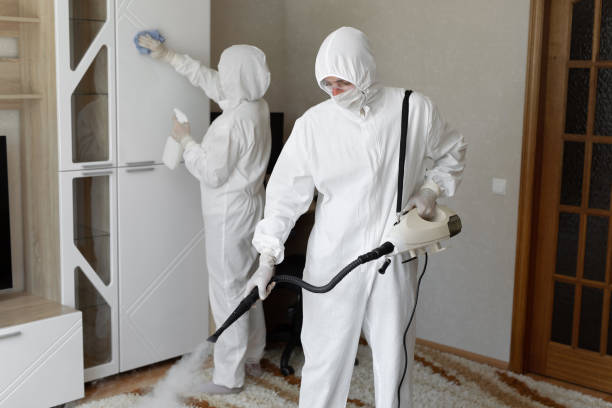 Best DIY Mold Remediation Support Services in Union Hall, VA